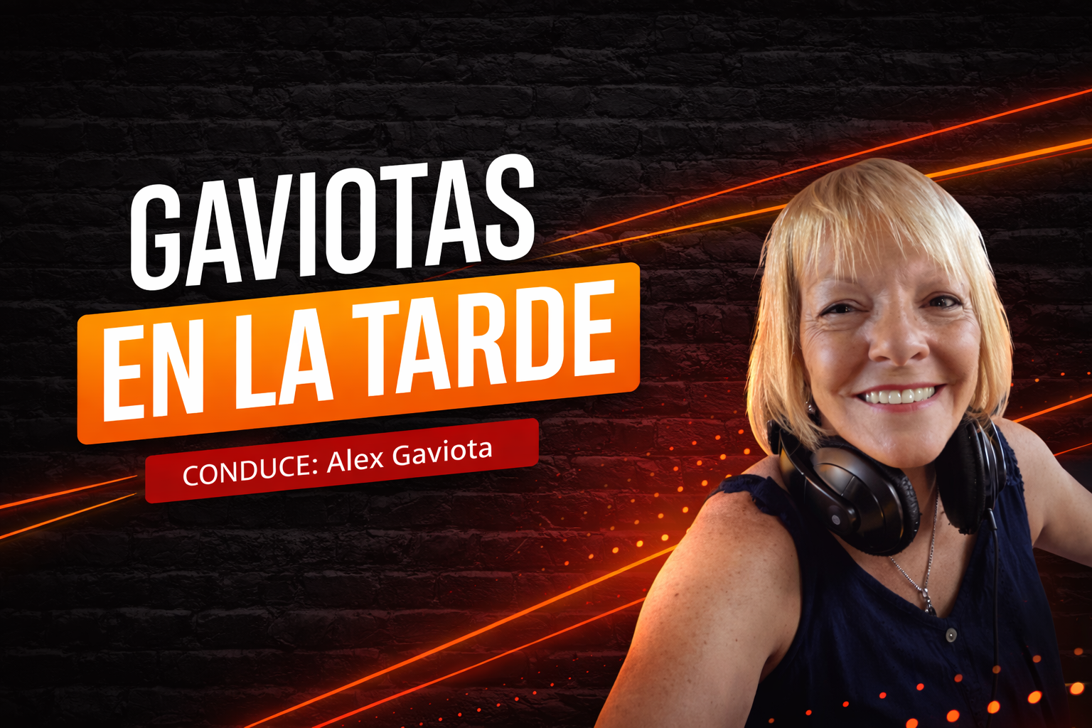 GAVIOTAS EN LA TARDE